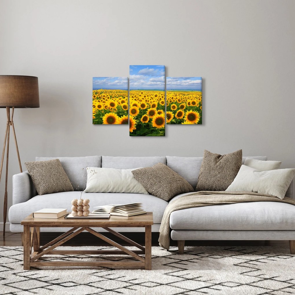 Obraz slnečnicového poľa (90x60 cm)