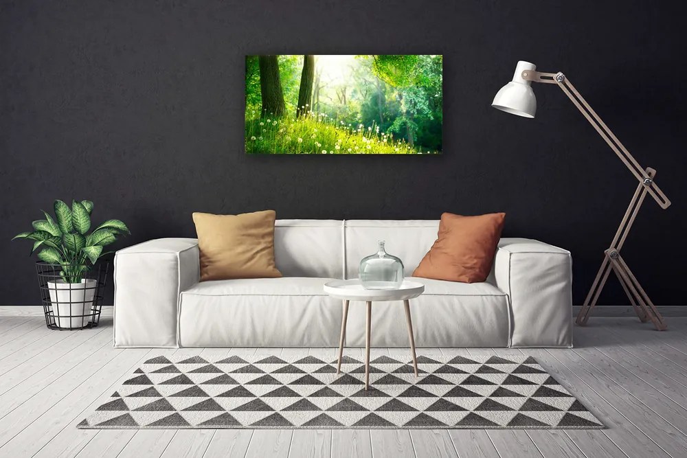 Obraz Canvas Lúka príroda rastlina 120x60 cm