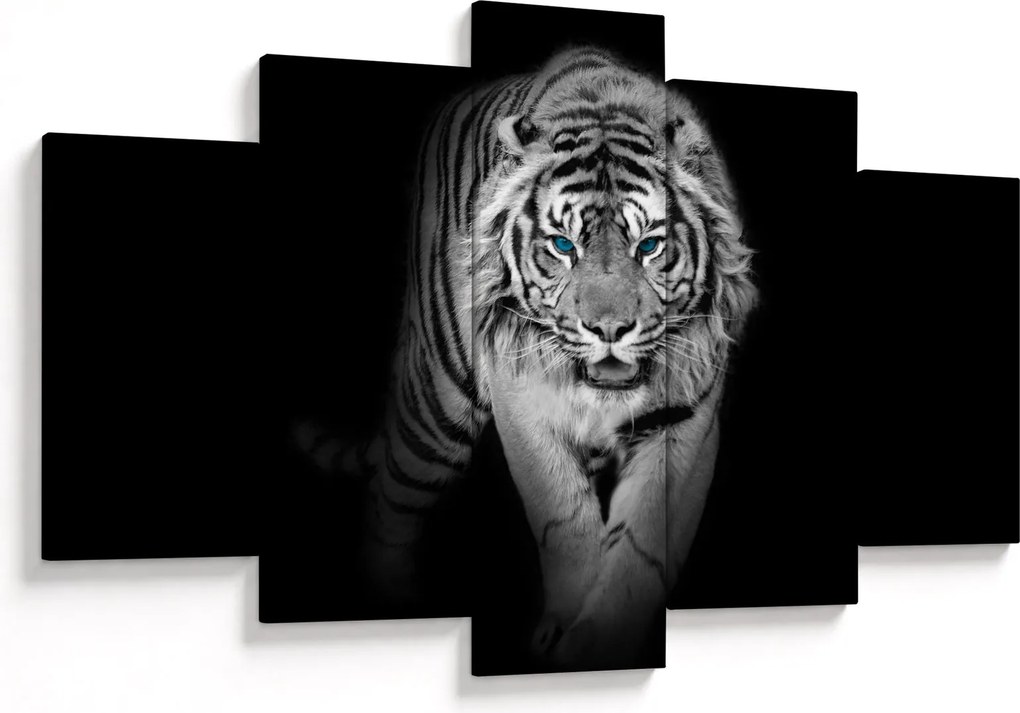 Obraz - Tiger s modrými očami (150x105 cm)