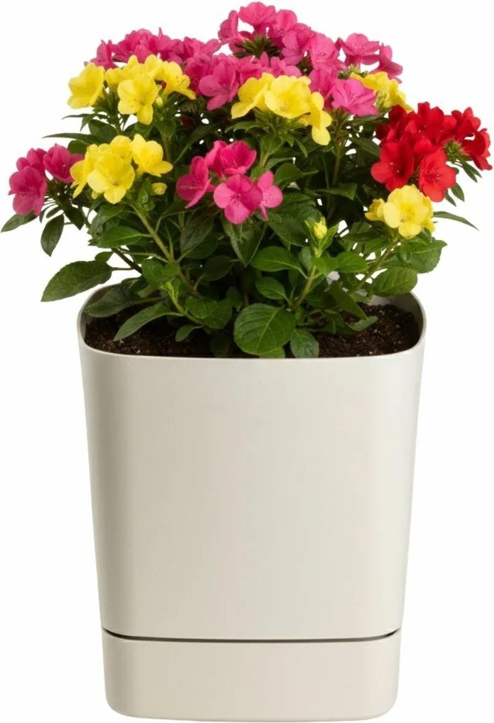 Plastový květináč s podmiskou Cubi 19x19 cm - výber z 6 prevedení