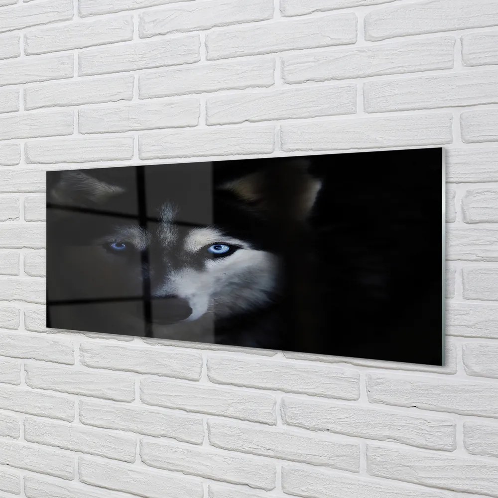 Obraz na akrylátovom skle Wolf eyes 120x60 cm