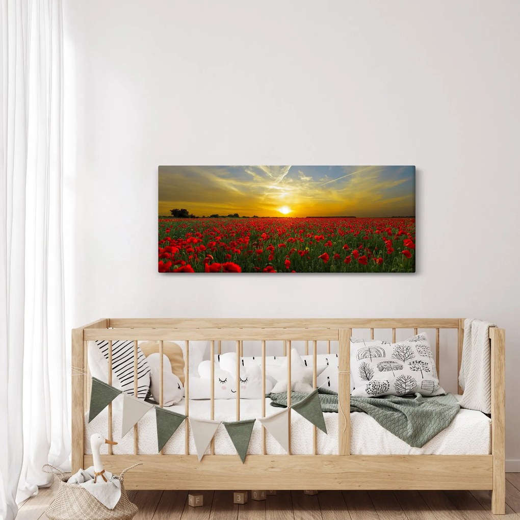 braz poľa vlčích makov (120x50 cm)