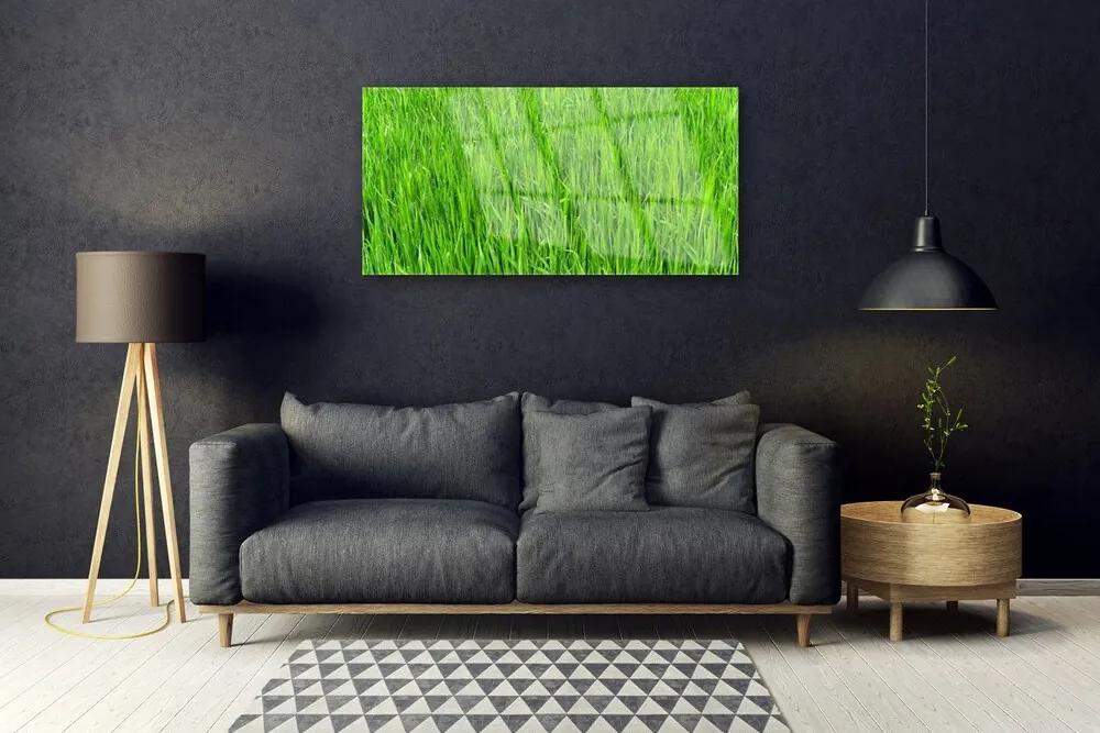 Skleneny obraz Zelená tráva príroda trávnik 125x50 cm
