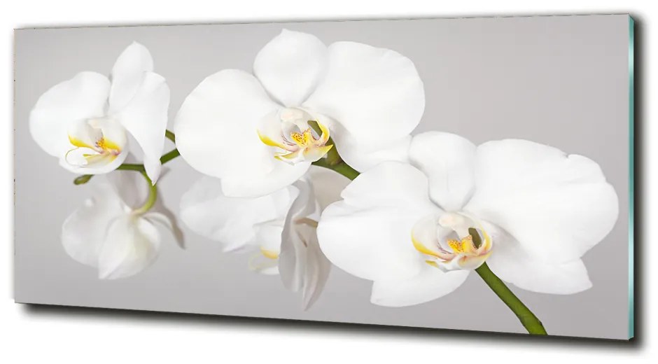 Foto obraz sklo tvrdené Orchidea cz-obglass-125x50-133396361