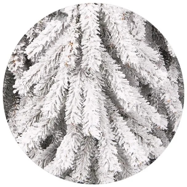 Smrek alpský- zasnežený 150cm