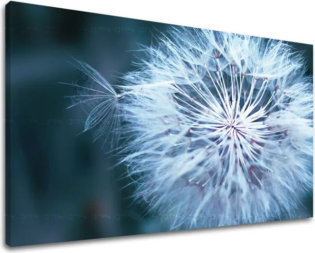 Obraz na stenu KVETY KV086E11 - 100x150 cm