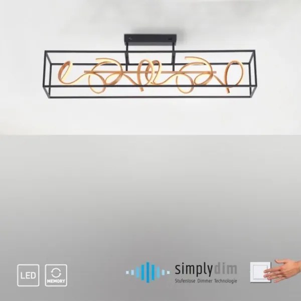 Paul Neuhaus 6473-18 - LED Stmievateľný luster na tyči SELINA 4xLED/10,2W/230V