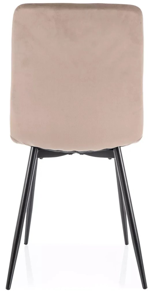 Jedálenská stolička DAREN VELVET béžová