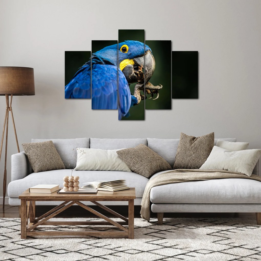 Obraz papagája (150x105 cm)