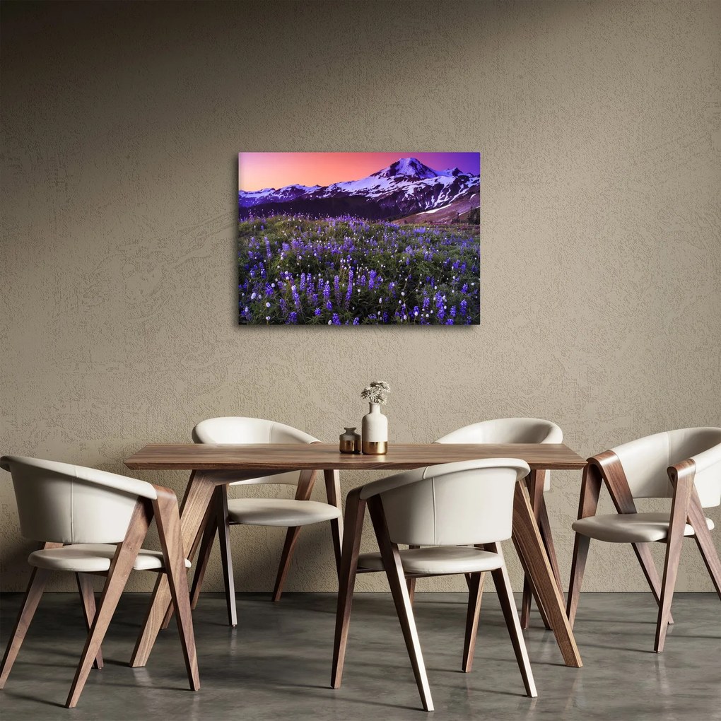 Obraz - Sopka a kvety (70x50 cm)