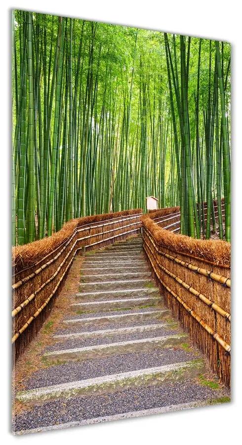 Foto obraz akrylový do obývačky Bambusový les pl-oa-70x140-f-81607376