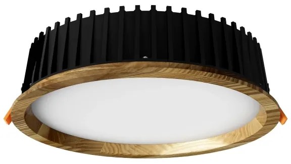 APLED - LED Podhľadové RONDO WOODLINE LED/18W/230V 4000K pr. 26 cm jaseň masív