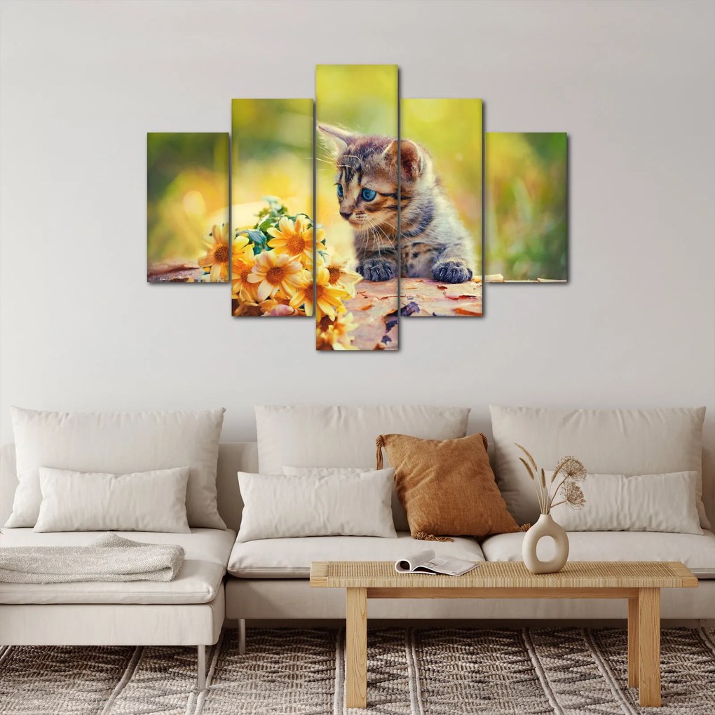 Obraz mačiatka pozerajúce sa na kvetinu (150x105 cm)