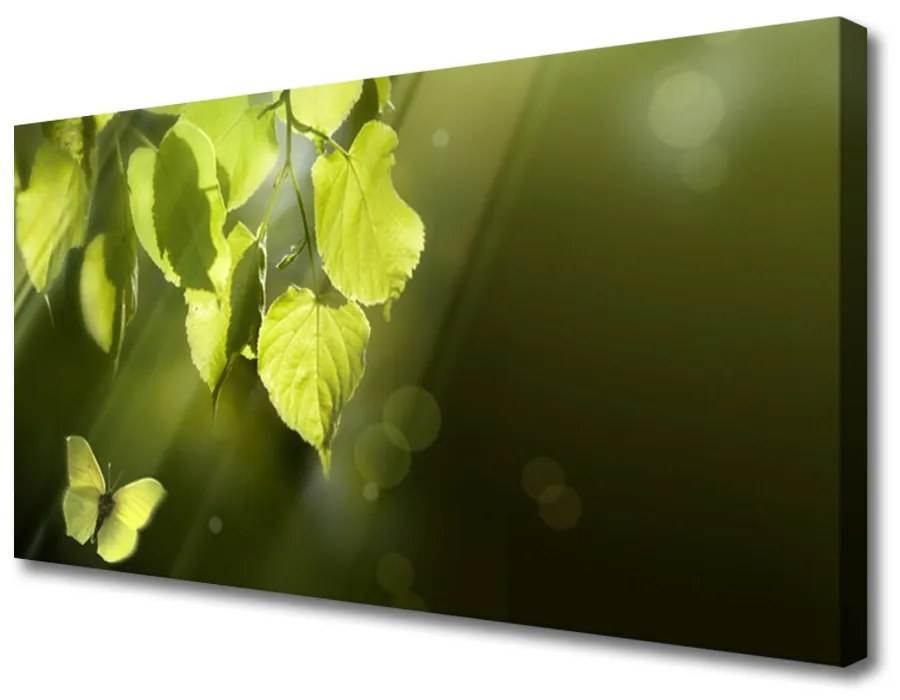 Obraz Canvas Listy slnko lúče 100x50 cm