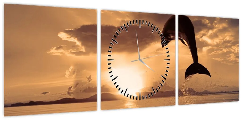 Obraz - Delfín pri západe slnka (s hodinami) (90x30 cm)