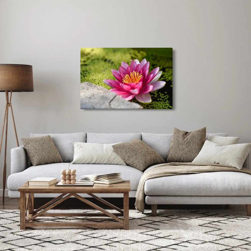 Obraz - Lekno (90x60 cm)