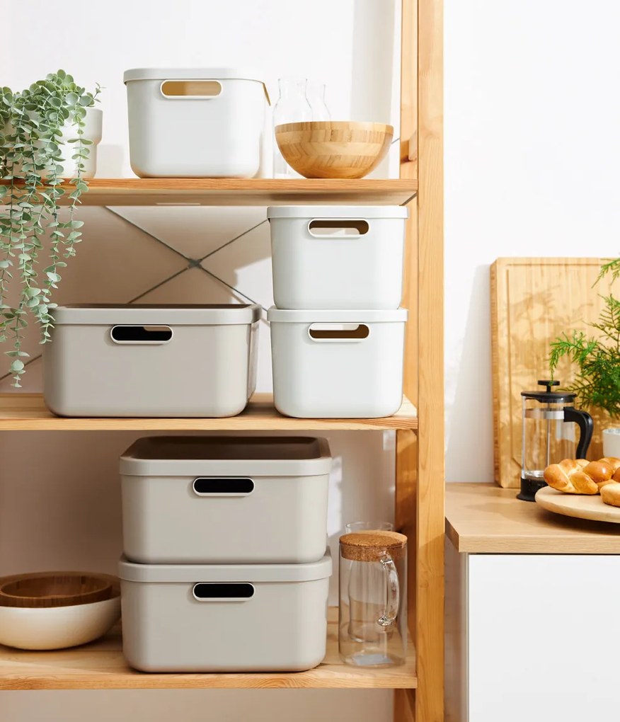 Rotho Úložný box, rovný s vekom, 20 l, cappuccino ALBU LIGHT, 40 x 36 x 18 cm