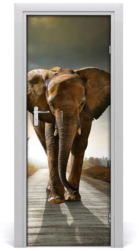 Samolepiace fototapety na dvere chodiaci slon 95x205 cm