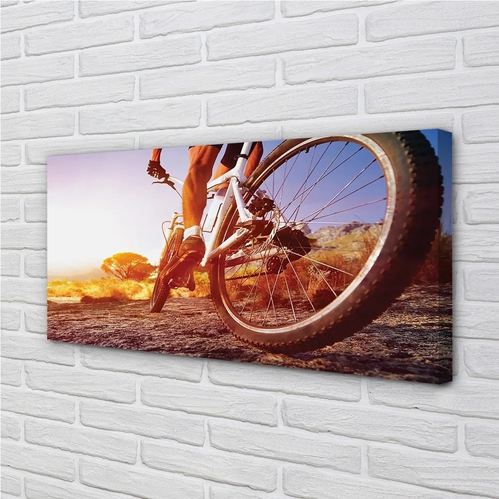 Obraz canvas Bicykel horskej ceste západ 120x60 cm