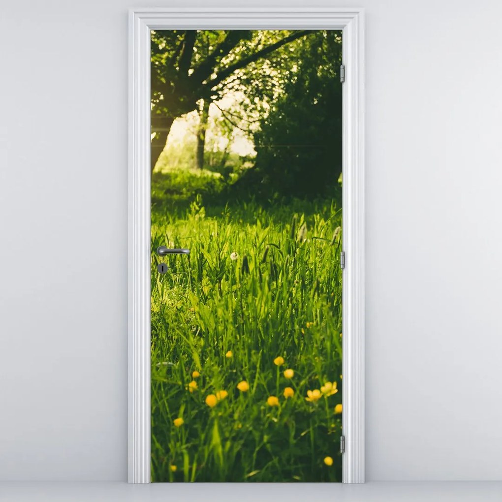 Fototapeta na dvere - Lúka (95x205cm)