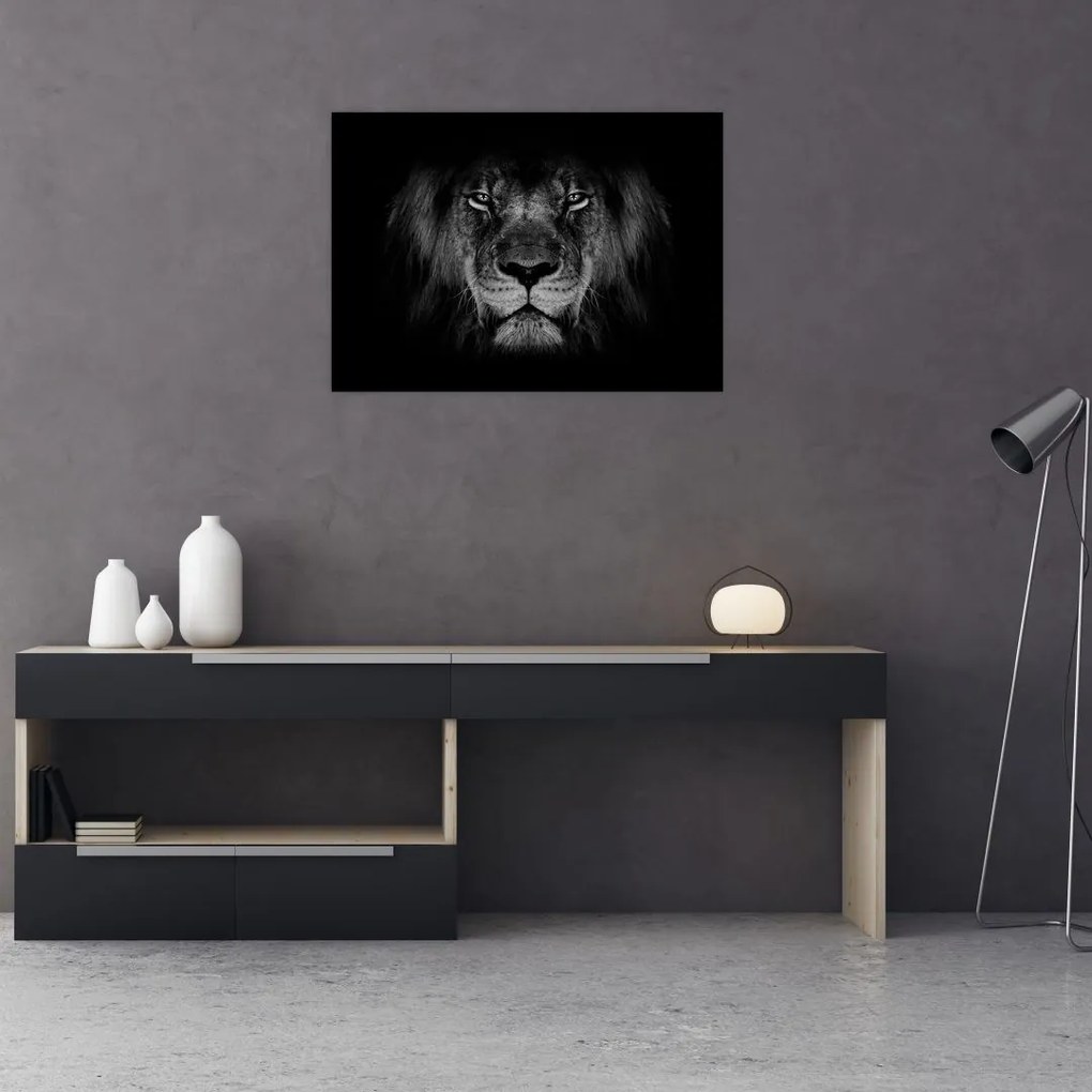 Sklenený obraz - Lev a jeho majestátnosť (70x50 cm)