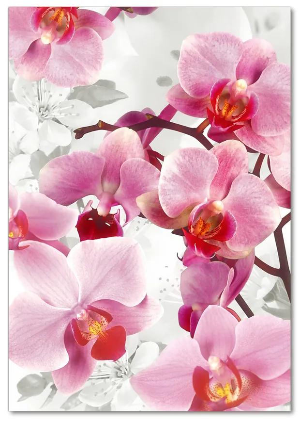 Foto obraz akrylové sklo Ružová orchidea pl-oa-70x100-f-44684614
