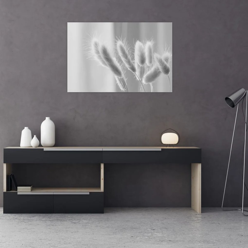 Obraz - Bunny tail grass (90x60 cm)