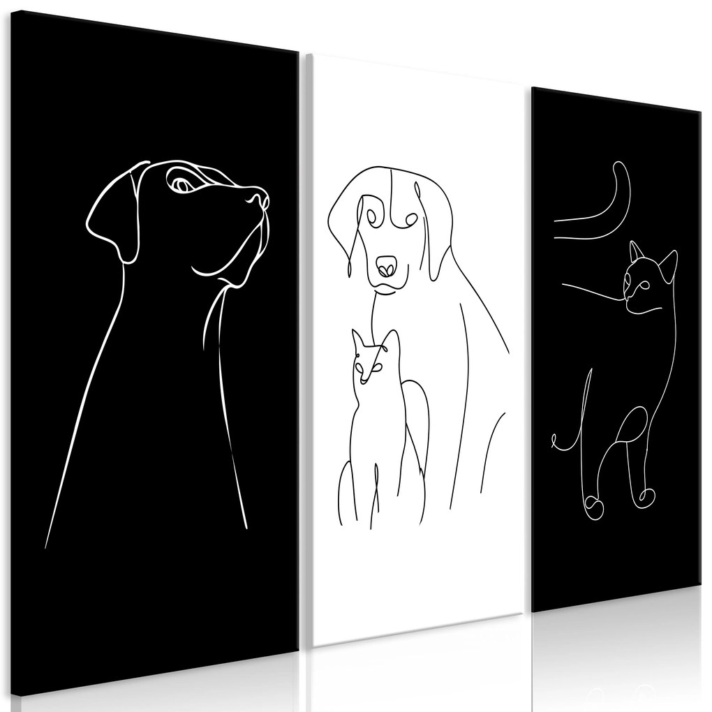 Artgeist Obraz - Domestic Animals (3 Parts) Veľkosť: 120x80, Verzia: Na talianskom plátne