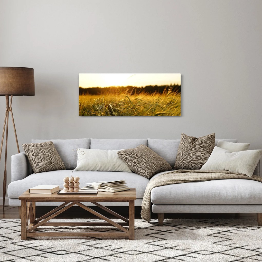 Obraz orosenej trávy (120x50 cm)