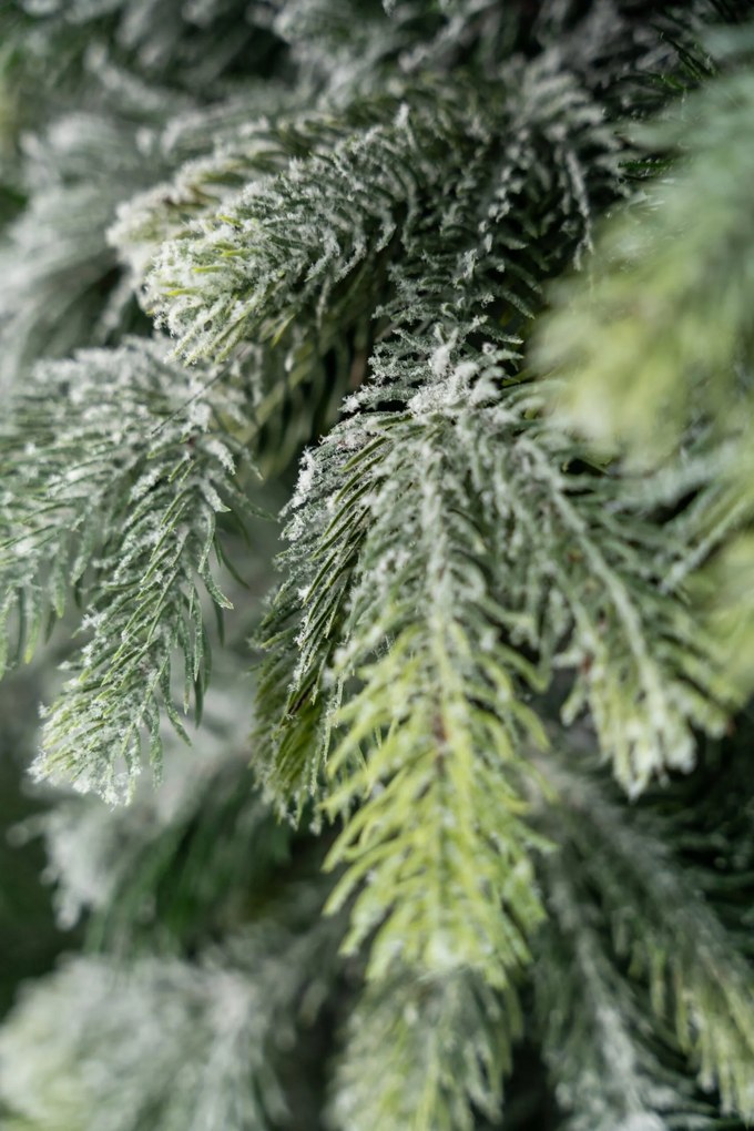 Limpol Kanadská zasnežená borovica 2,10 m