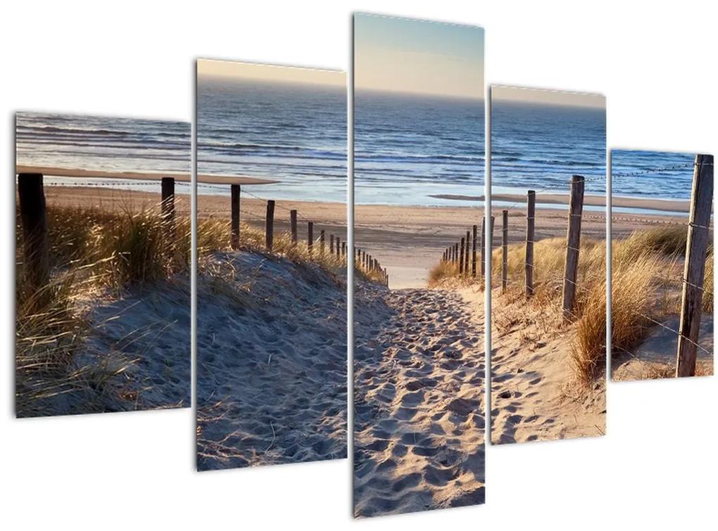 Obraz - Cesta k pláži Severného mora, Holandsko (150x105 cm)