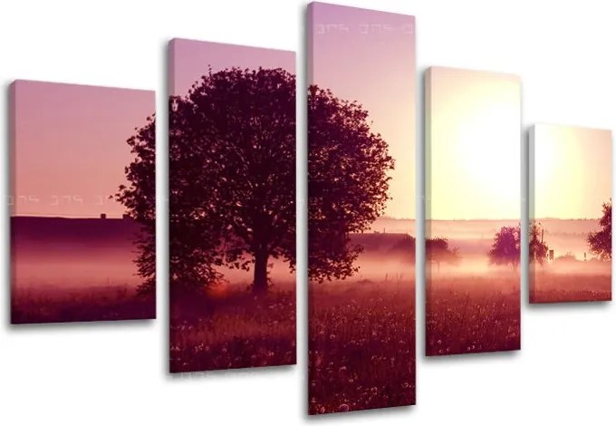 Obraz na stenu 5 dielny ZÁPAD SLNKA ZS020E50