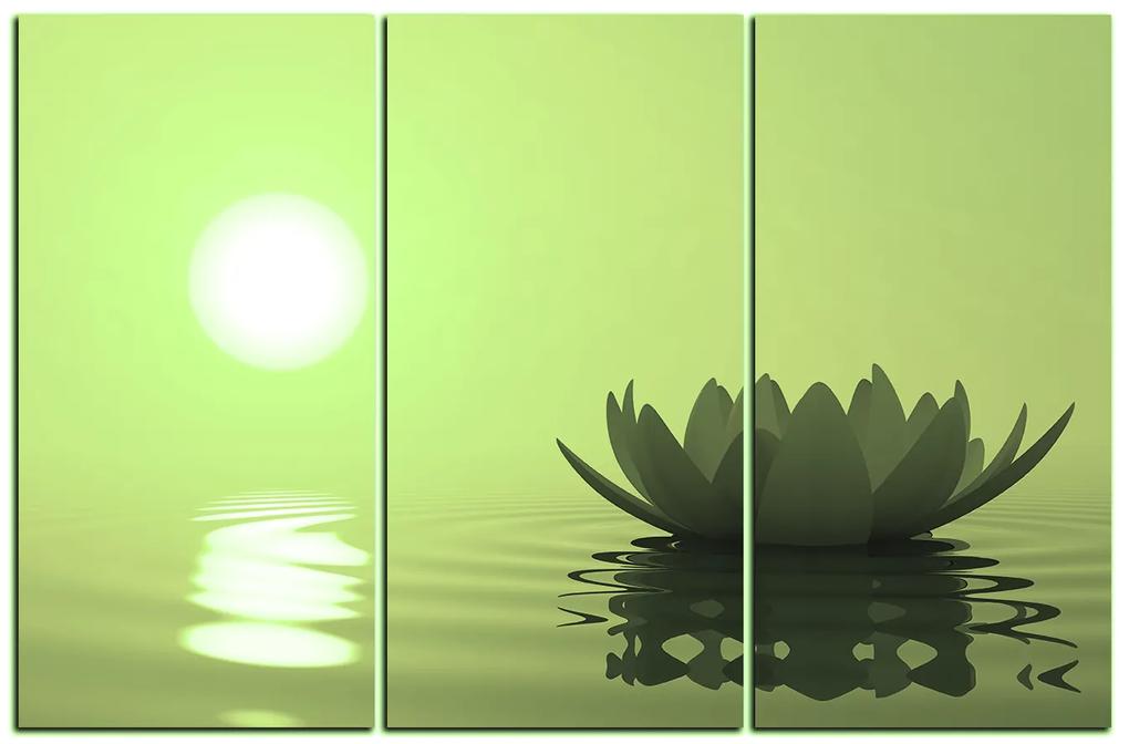 Obraz na plátne - Zen lotus 1167ZB (135x90 cm)