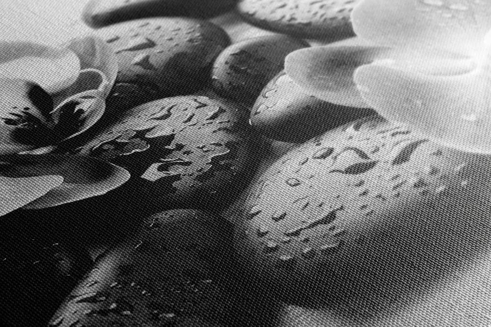 Obraz kúzelná súhra kameňov a orchidey v čiernobielom prevedení - 100x50
