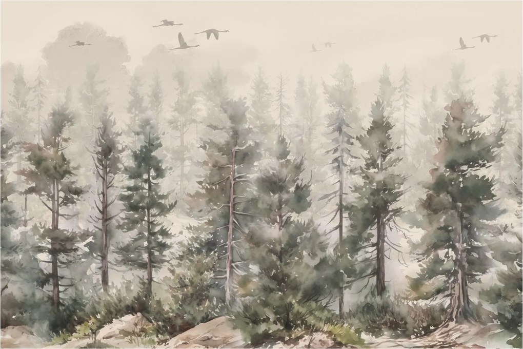Obraz - Borovicový les I., aquarel (90x60 cm)