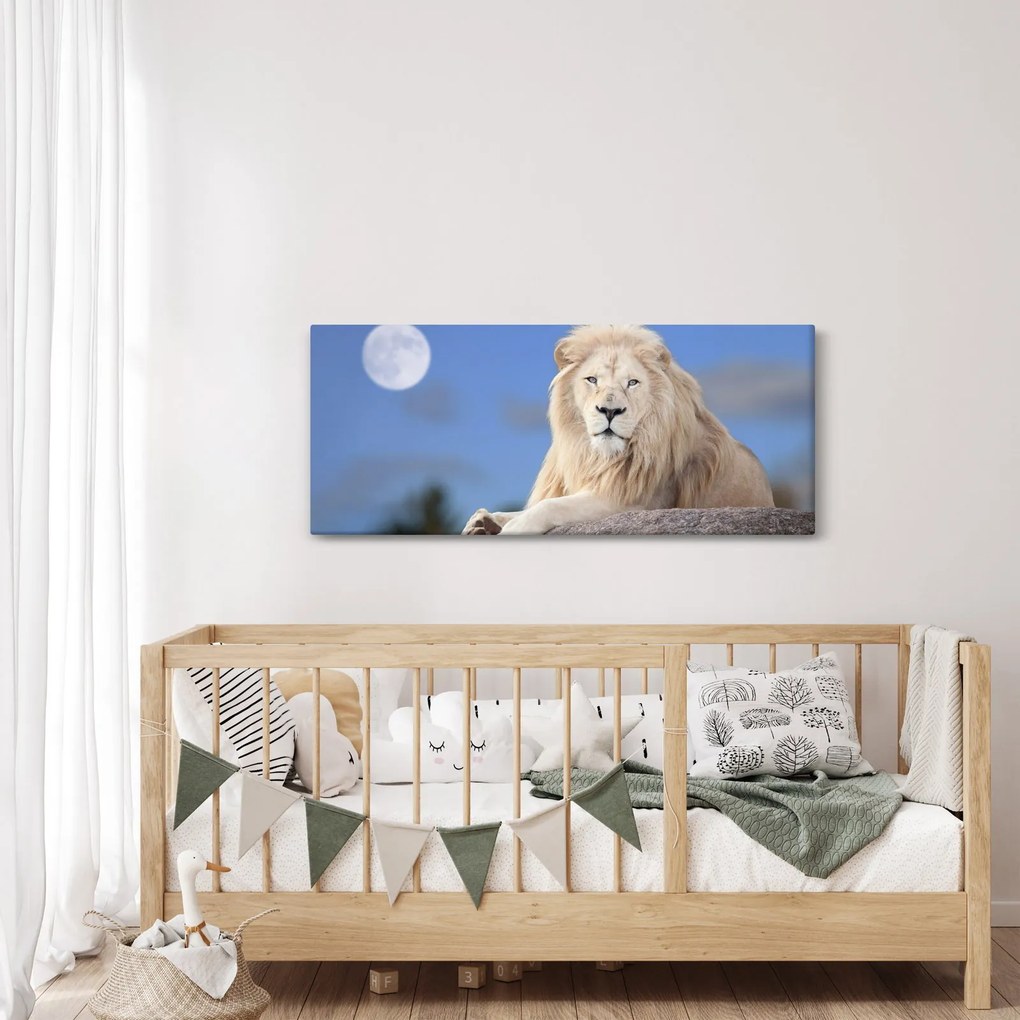 Obraz - Biely lev (120x50 cm)