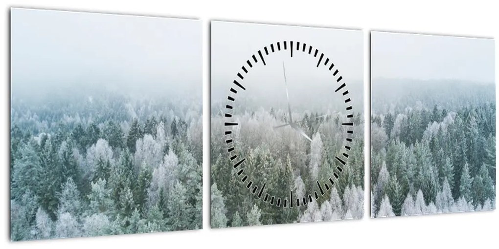 Obraz - Zasnežené vrcholky lesov (s hodinami) (90x30 cm)