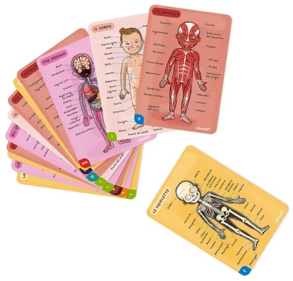 Janod - Magnetická skladačka BODYMAGNET ľudské telo