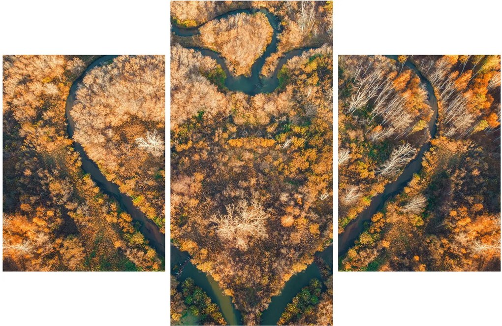 Obraz - Rieka v tvare srdca (90x60 cm)