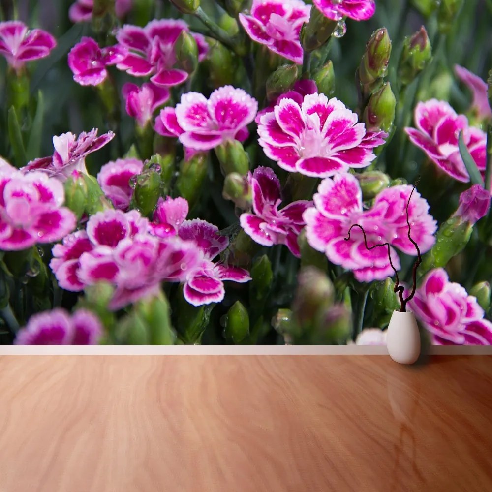 Fototapeta Vliesová Ružové kvety 152x104 cm