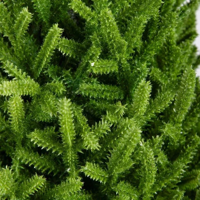 Vianočný stromček HECTOR zelený 714405