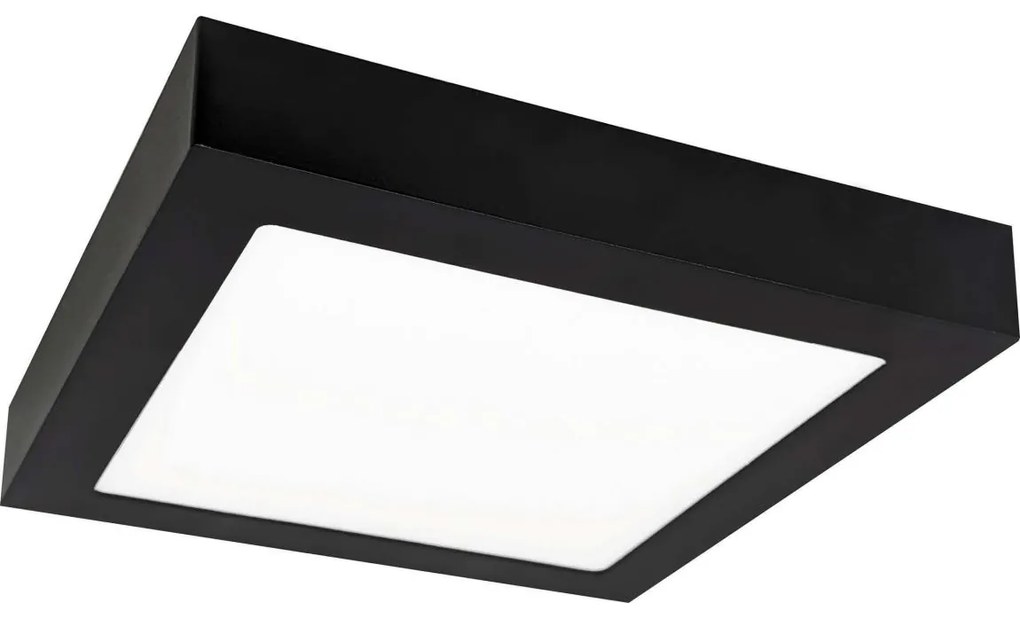 Greenlux LED Stropné svietidlo FENIX LED/18W/230V 2800K 22,5 cm GXDW369