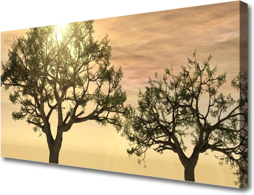 Obraz na plátně Sklenený Stromy Príroda