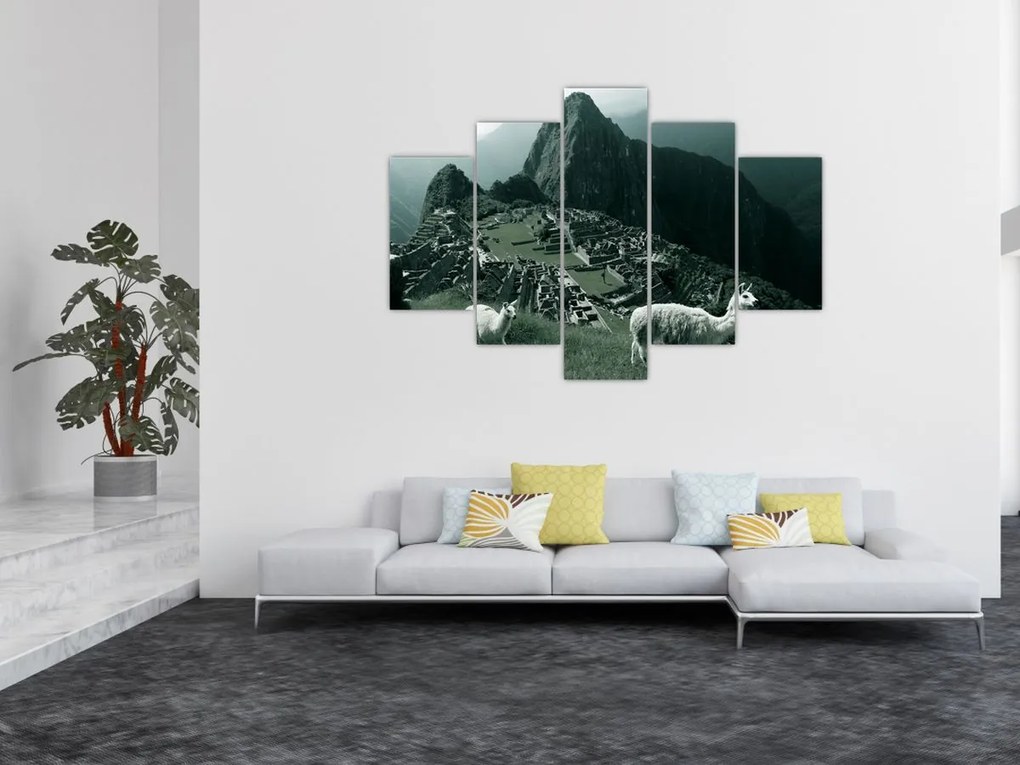 Obraz - Lamy na Machu Picchu v Peru (150x105 cm)