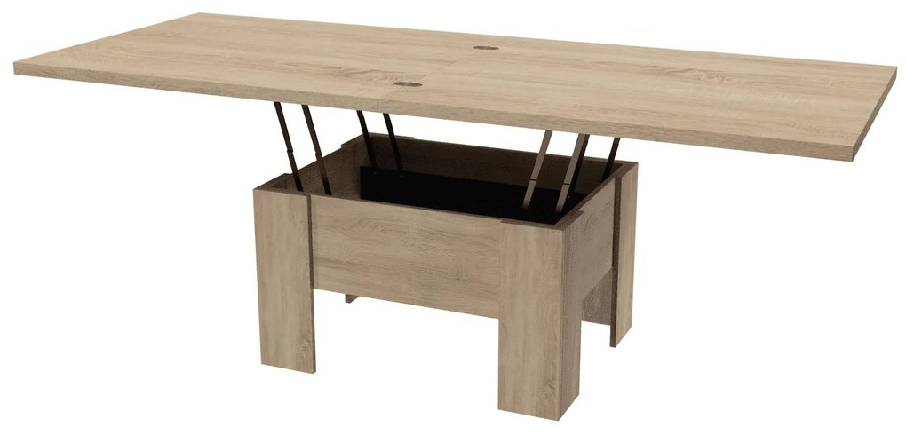 Konferenčný stolík Erno (dub sonoma) . Akcia -20%. Vlastná spoľahlivá doprava až k Vám domov. 1055421