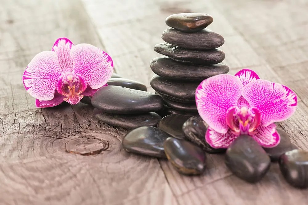 Fototapeta orchidea a Zen kamene na dreve
