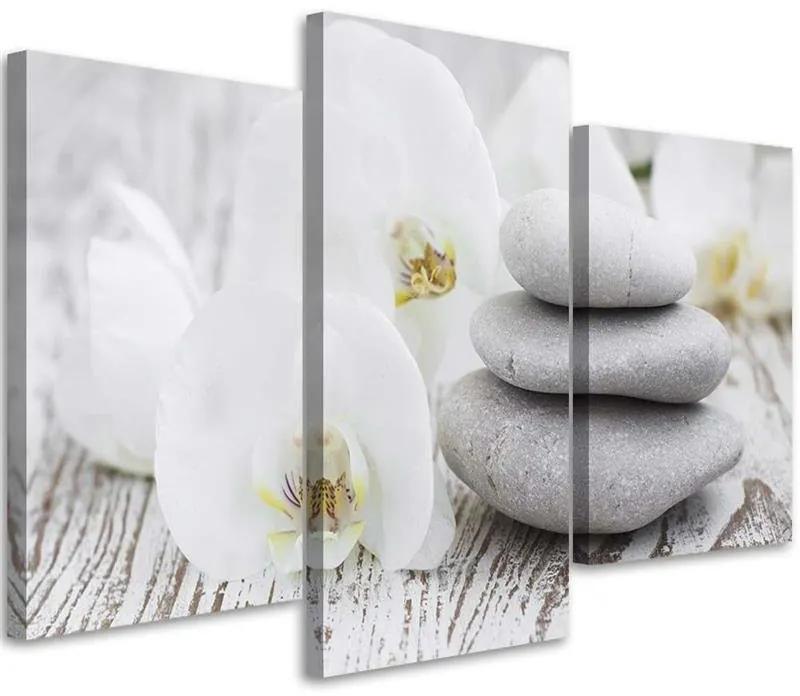 Gario Obraz na plátne Biela orchidea a kamene - 3 dielny Rozmery: 60 x 40 cm