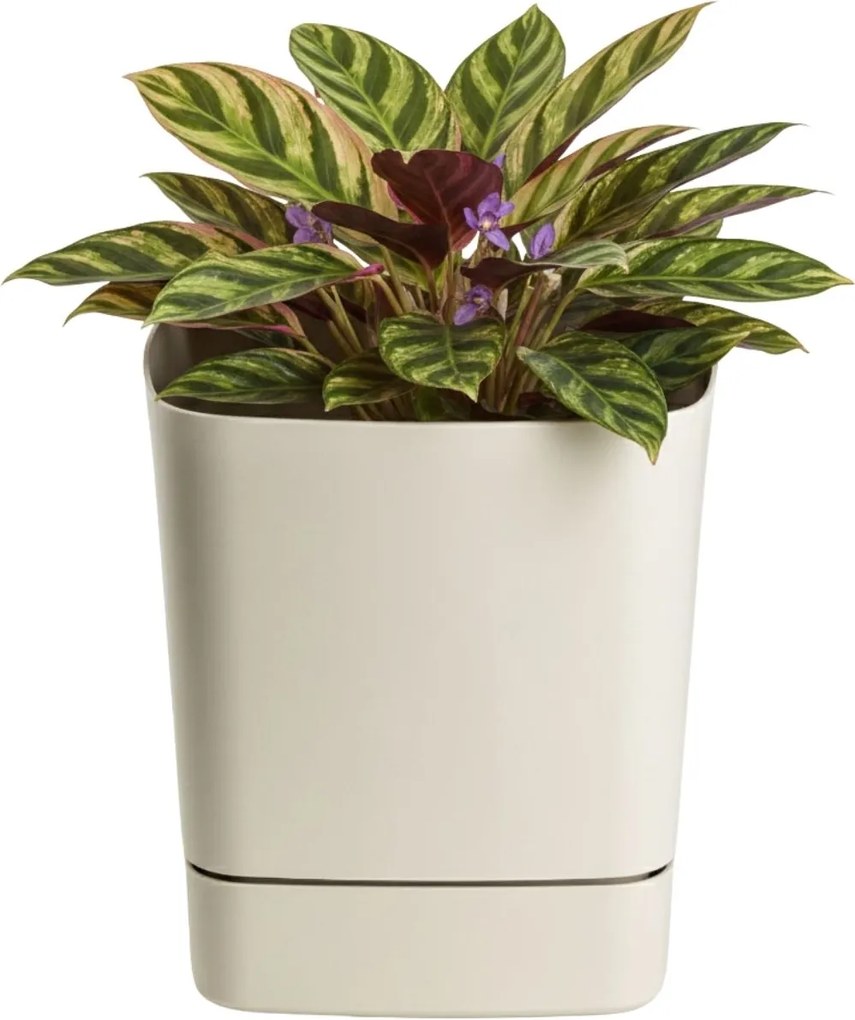 PLASTOVÝ KVETINÁČ CUBI 25X27,5 CM BÉŽOVÁ