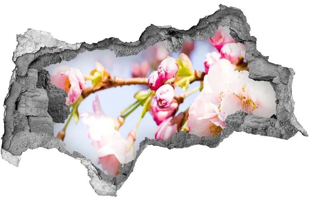 Samolepiaca diera na stenu Čerešňové kvety nd-b-81280422