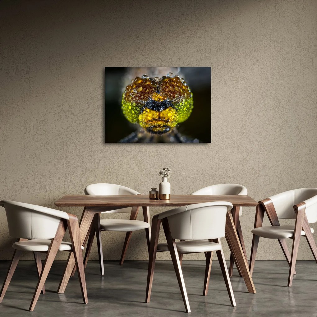 Detailný obraz očí hmyzu (70x50 cm)